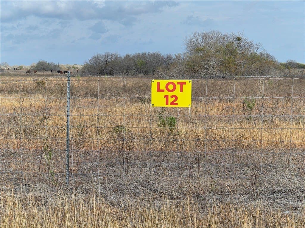 2.5 acres in Kleberg County gallery image 2