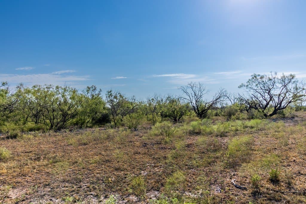 830 acres in Concho County featured view