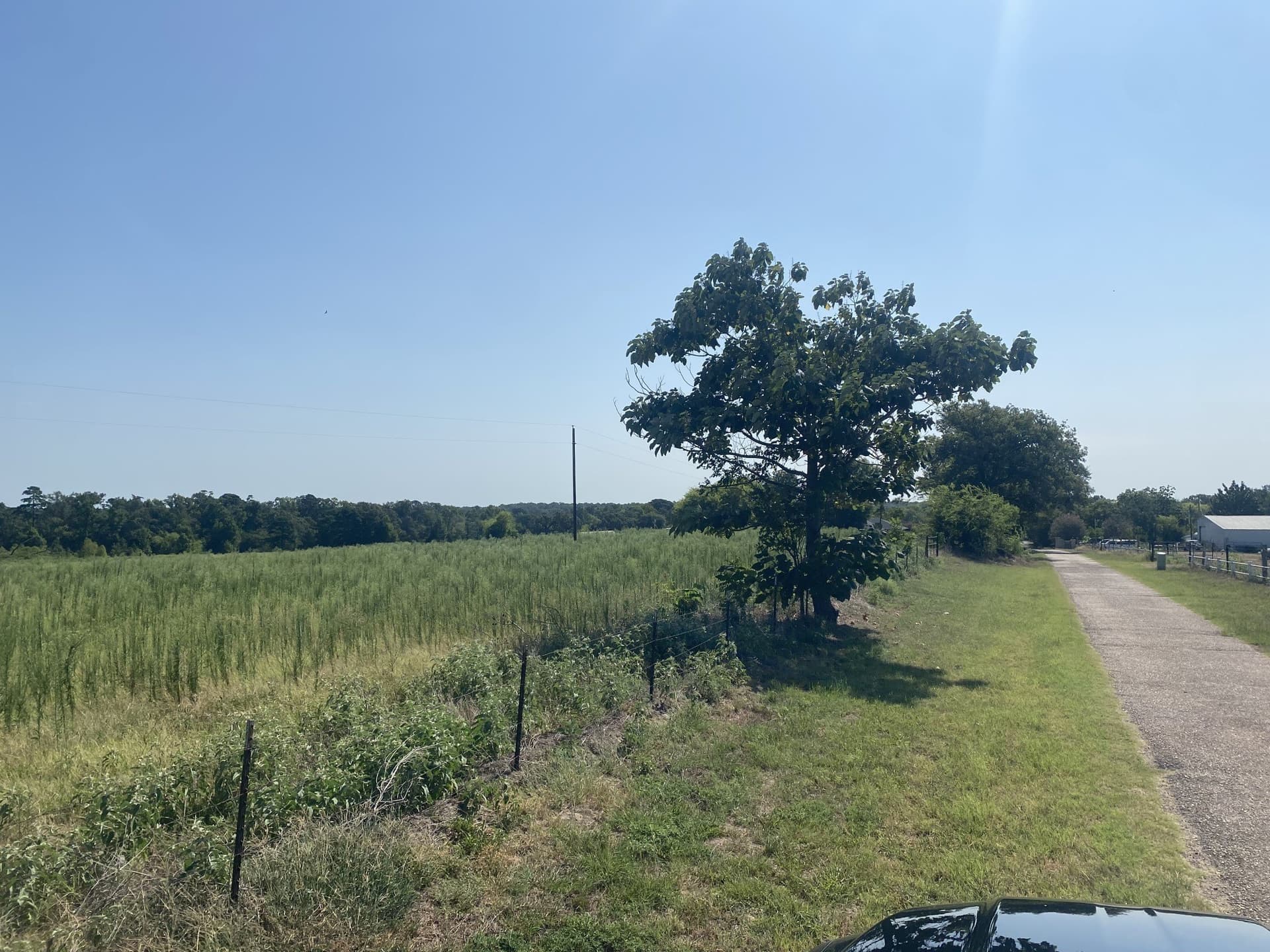 3.68 acres in Camp County gallery image 2
