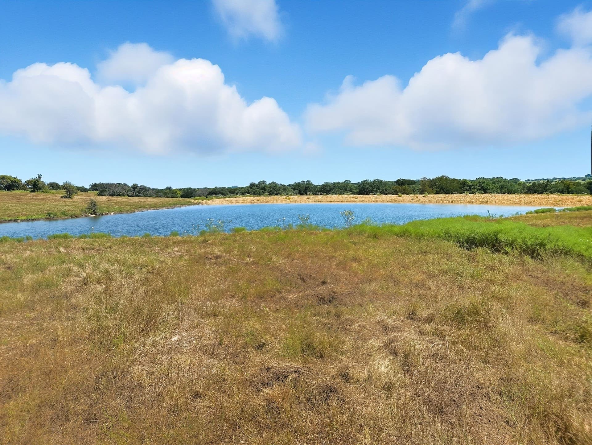 176.79 acres in Coryell County gallery image 4