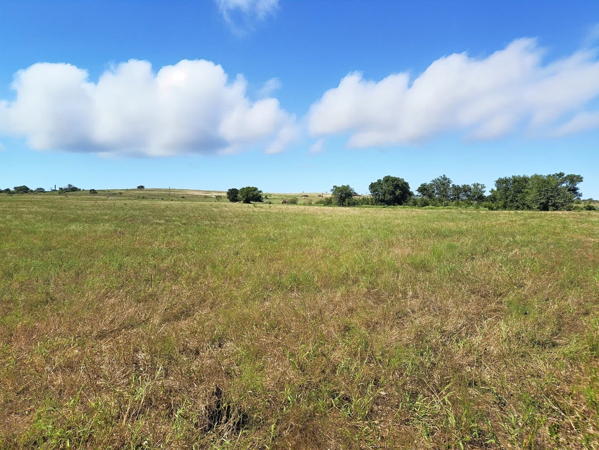 176.79 acres in Coryell County - photo 27