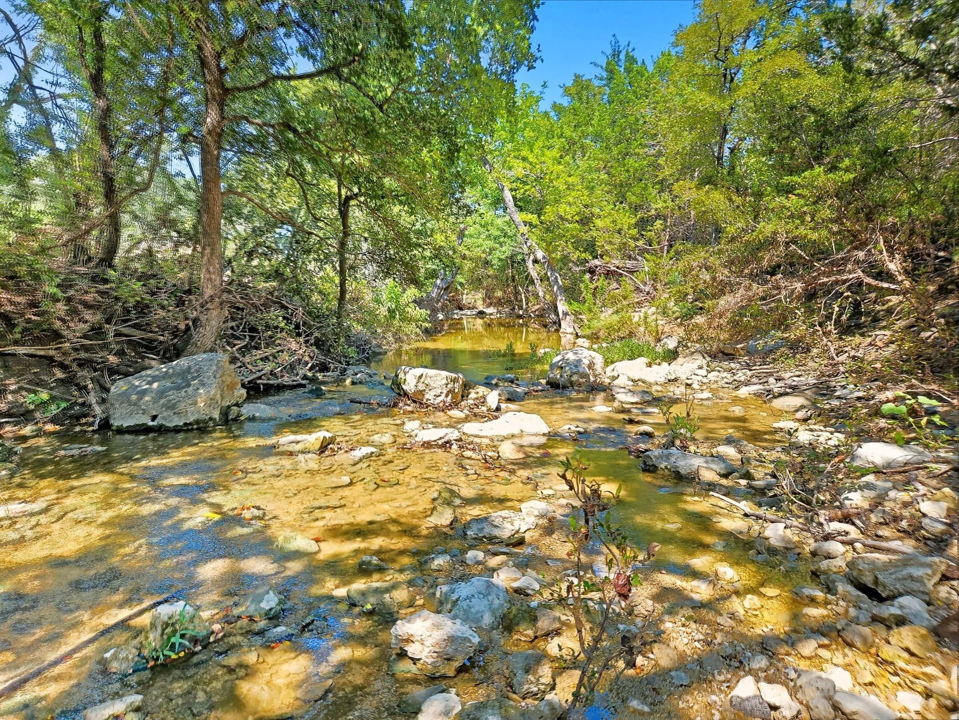 176.79 acres in Coryell County - photo 10