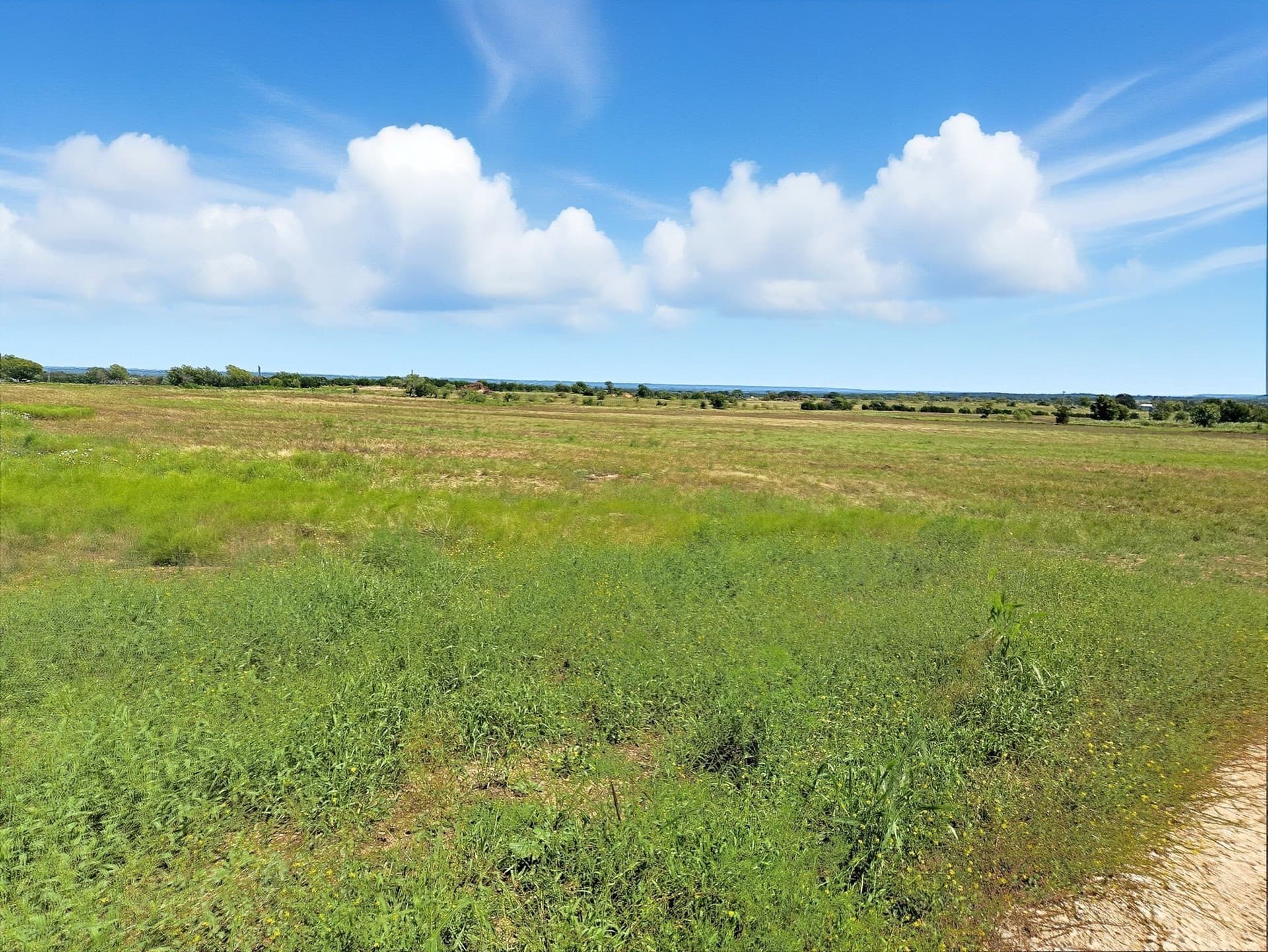 176.79 acres in Coryell County - photo 8