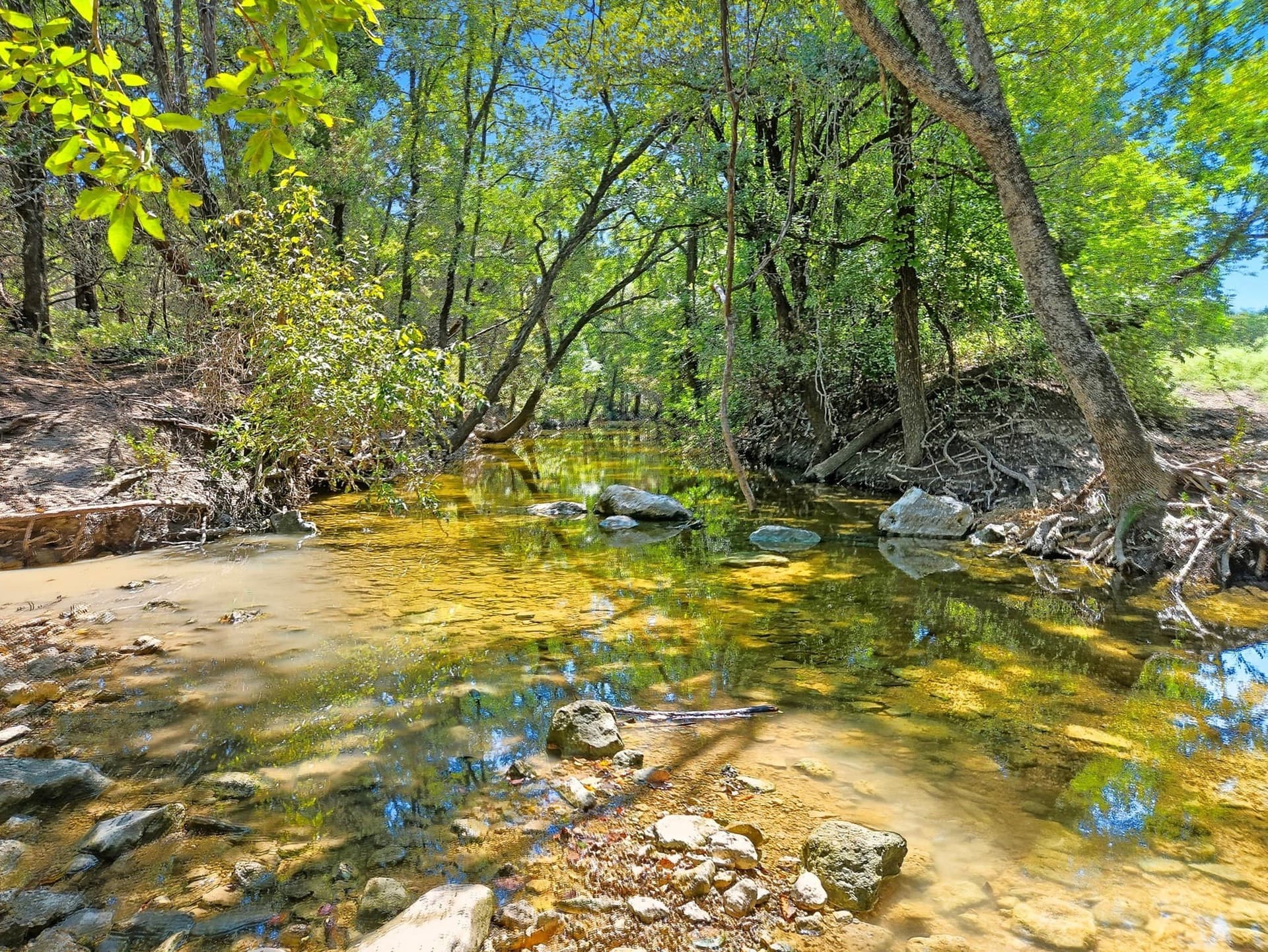 176.79 acres in Coryell County - photo 9