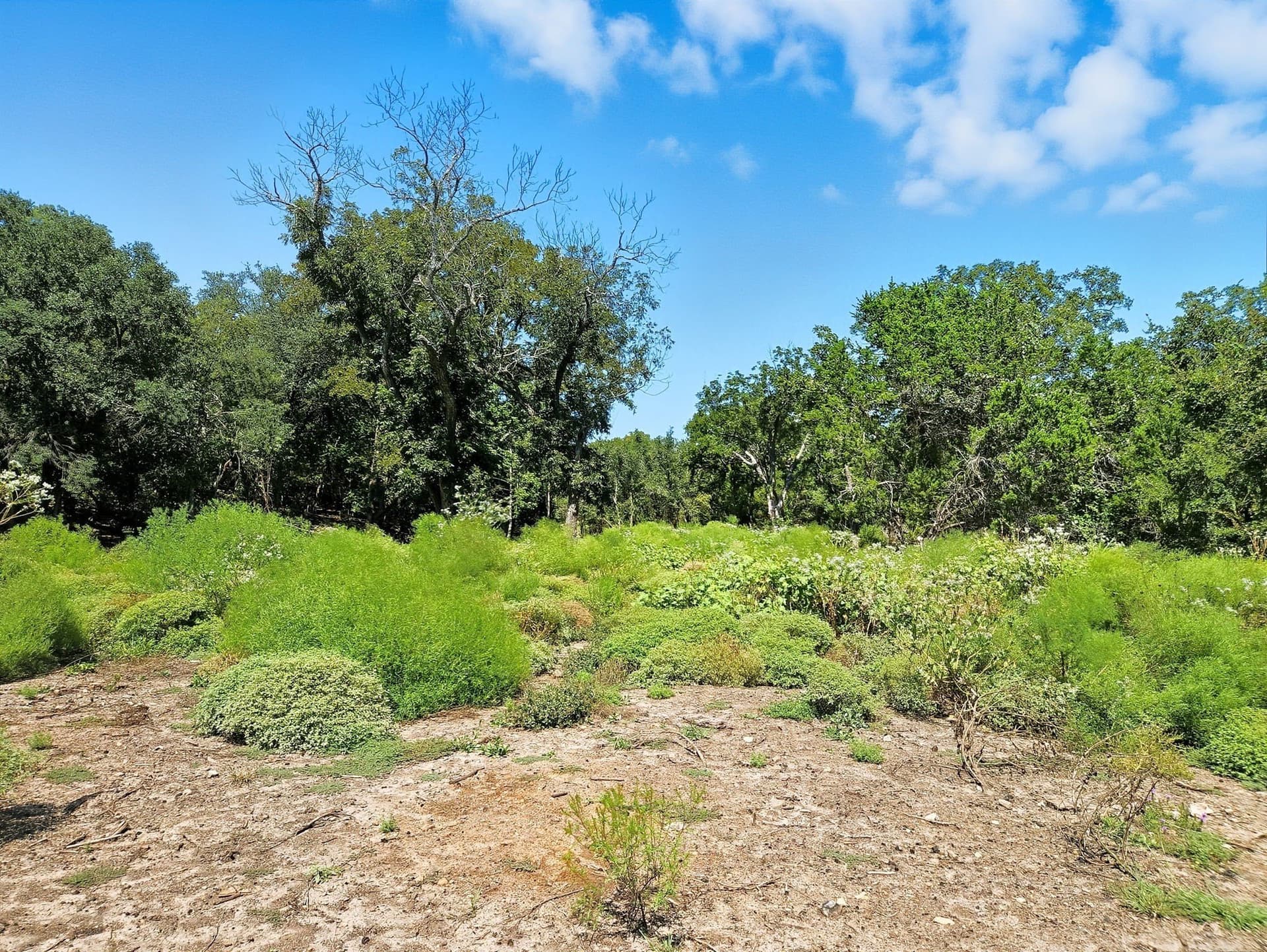 176.79 acres in Coryell County - photo 24