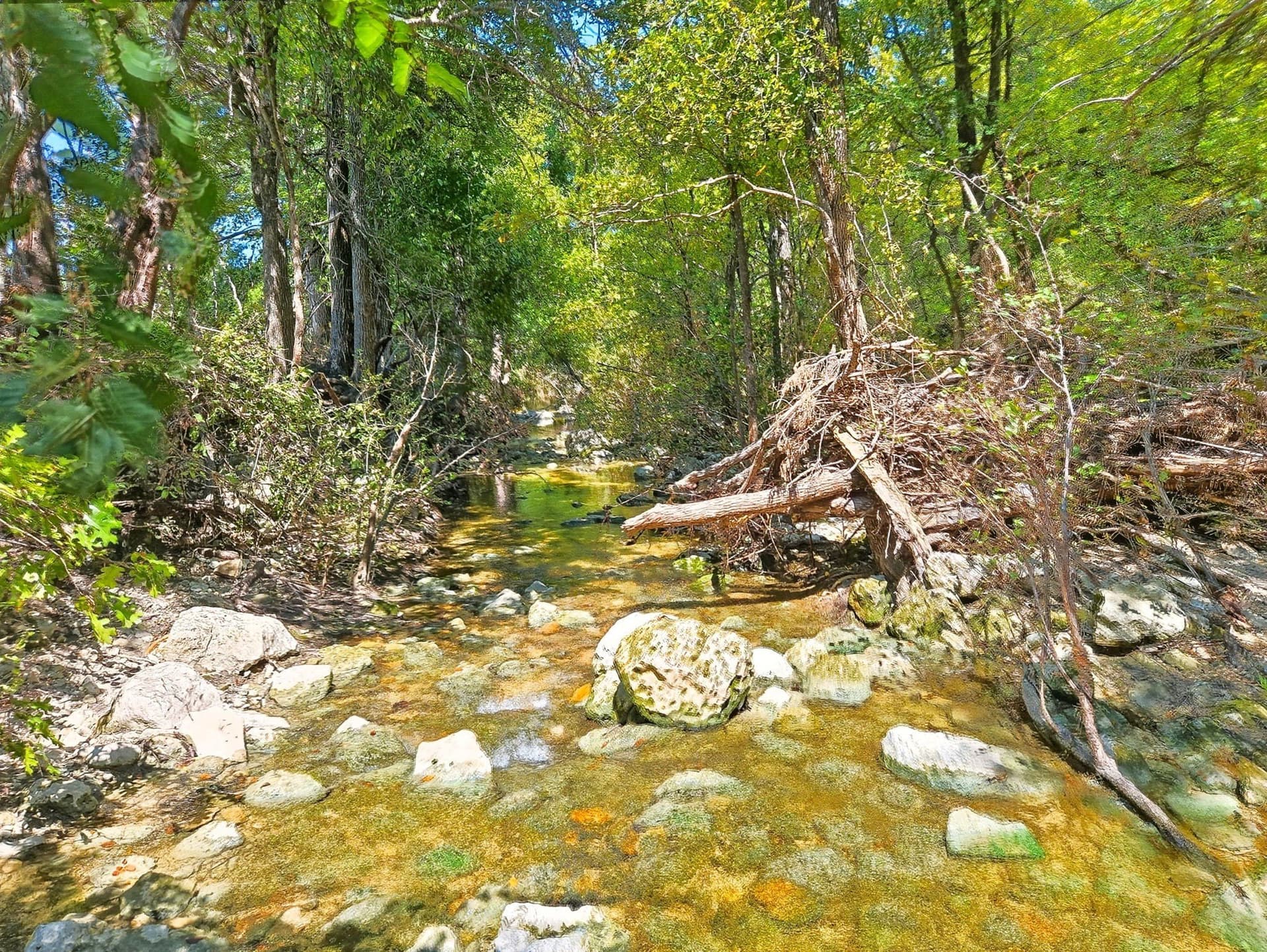 176.79 acres in Coryell County - photo 17