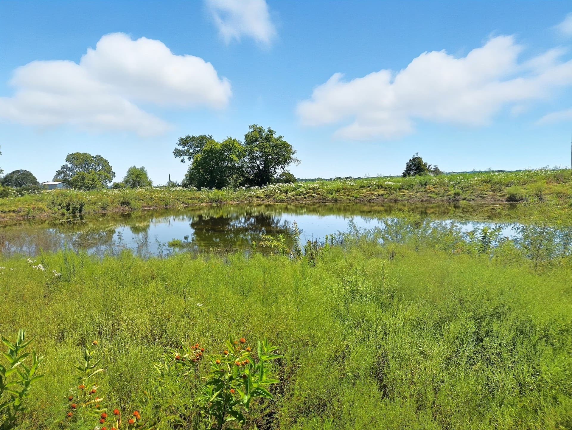 176.79 acres in Coryell County - photo 14