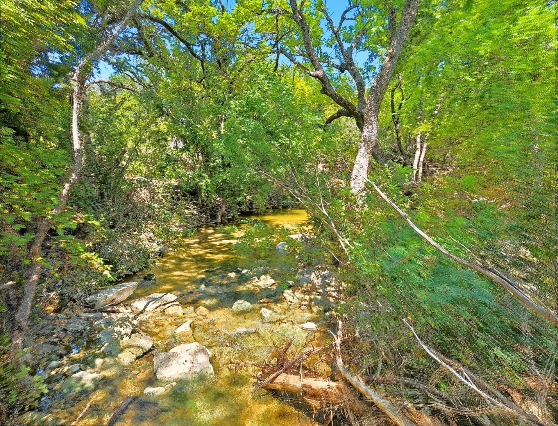 176.79 acres in Coryell County - photo 16