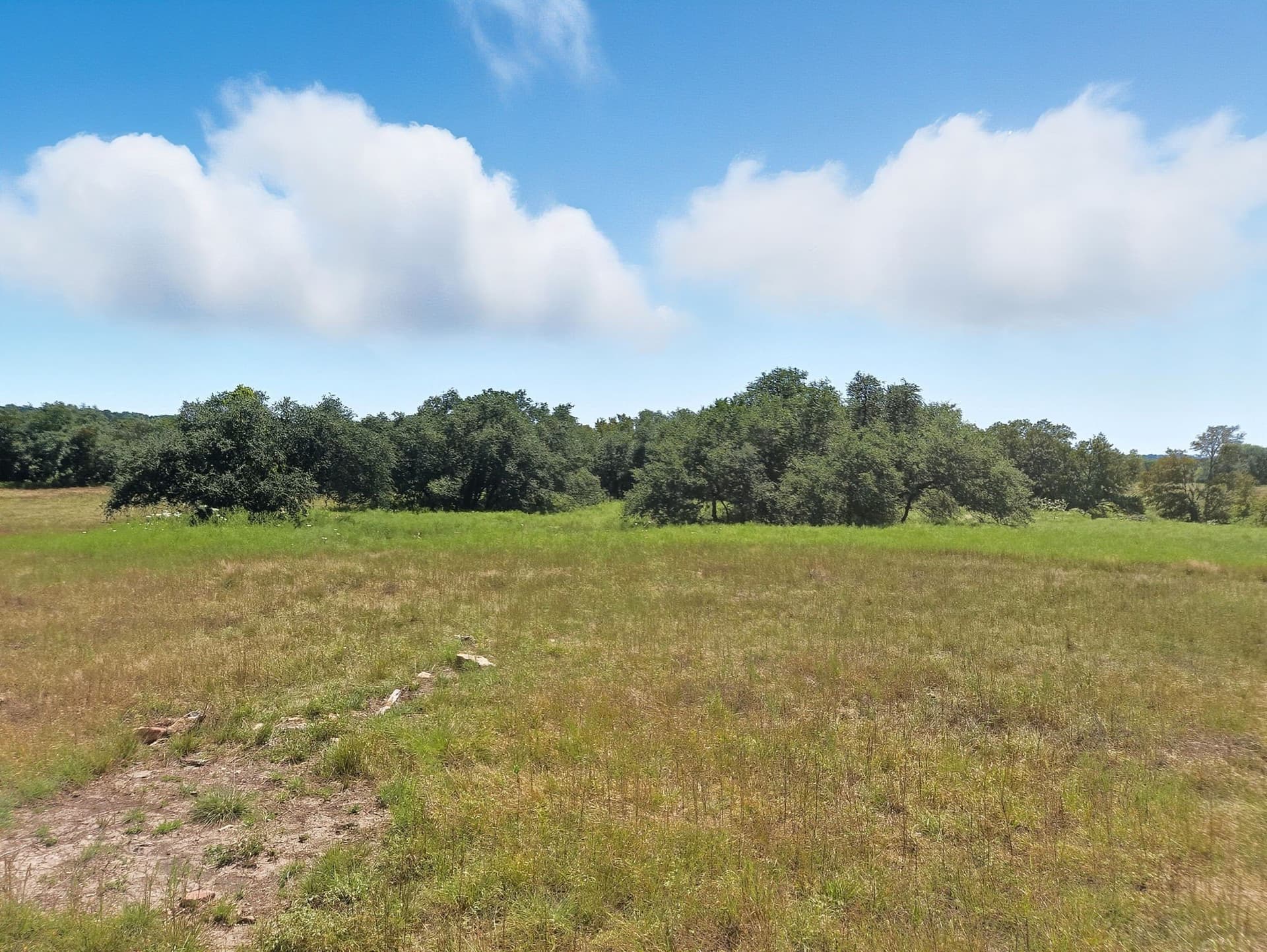 176.79 acres in Coryell County - photo 21