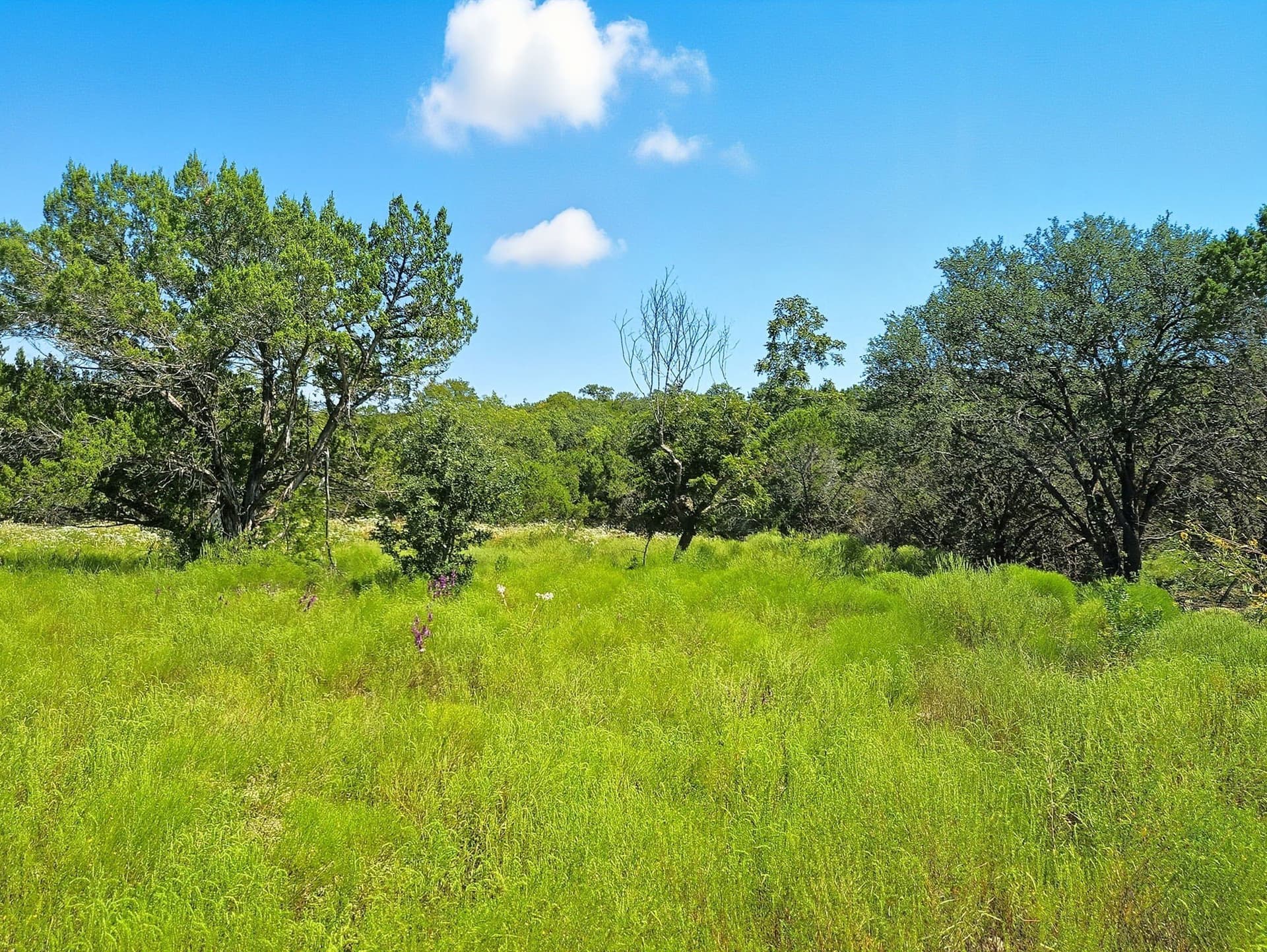 176.79 acres in Coryell County - photo 23