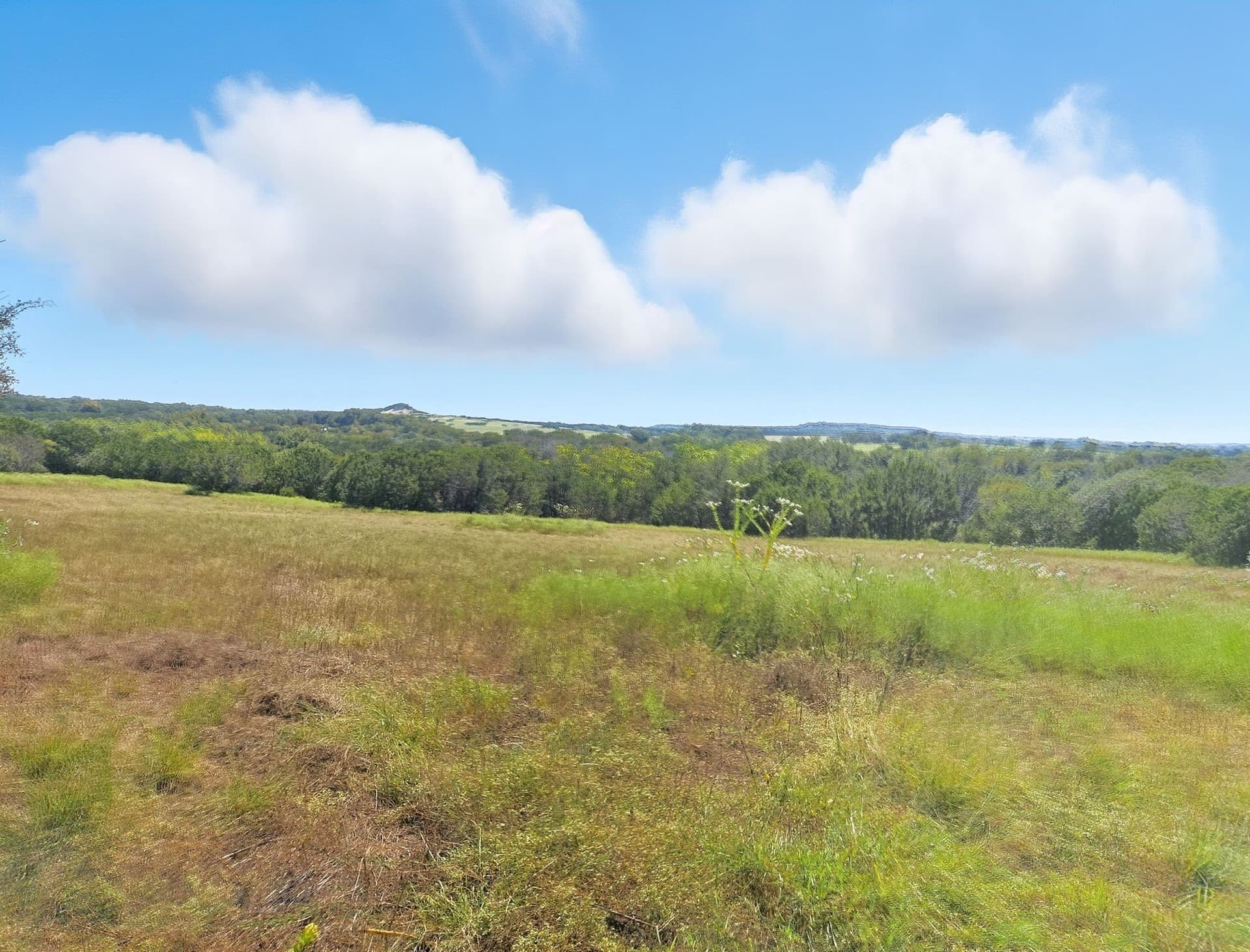 176.79 acres in Coryell County - photo 22