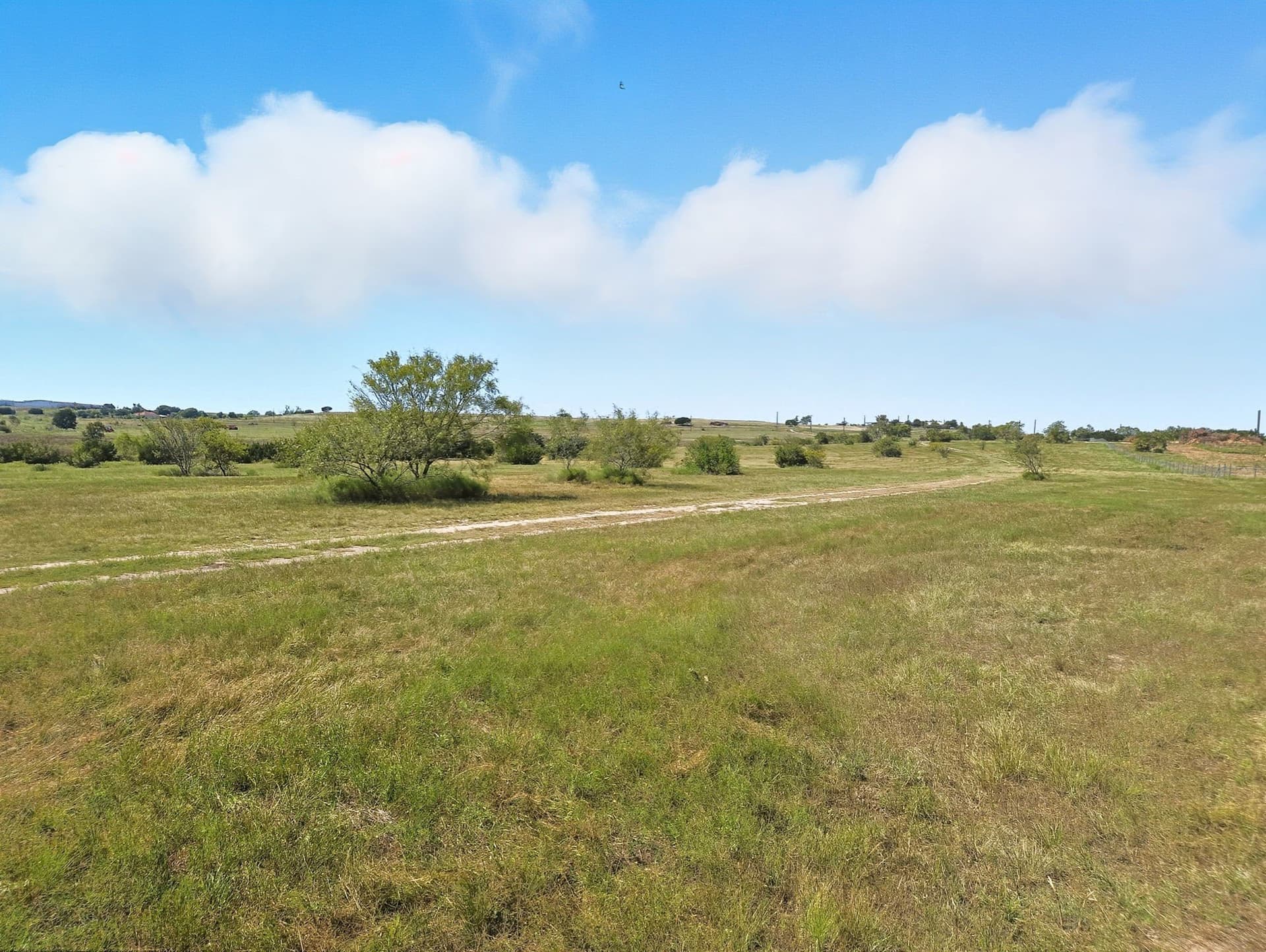 176.79 acres in Coryell County - photo 25