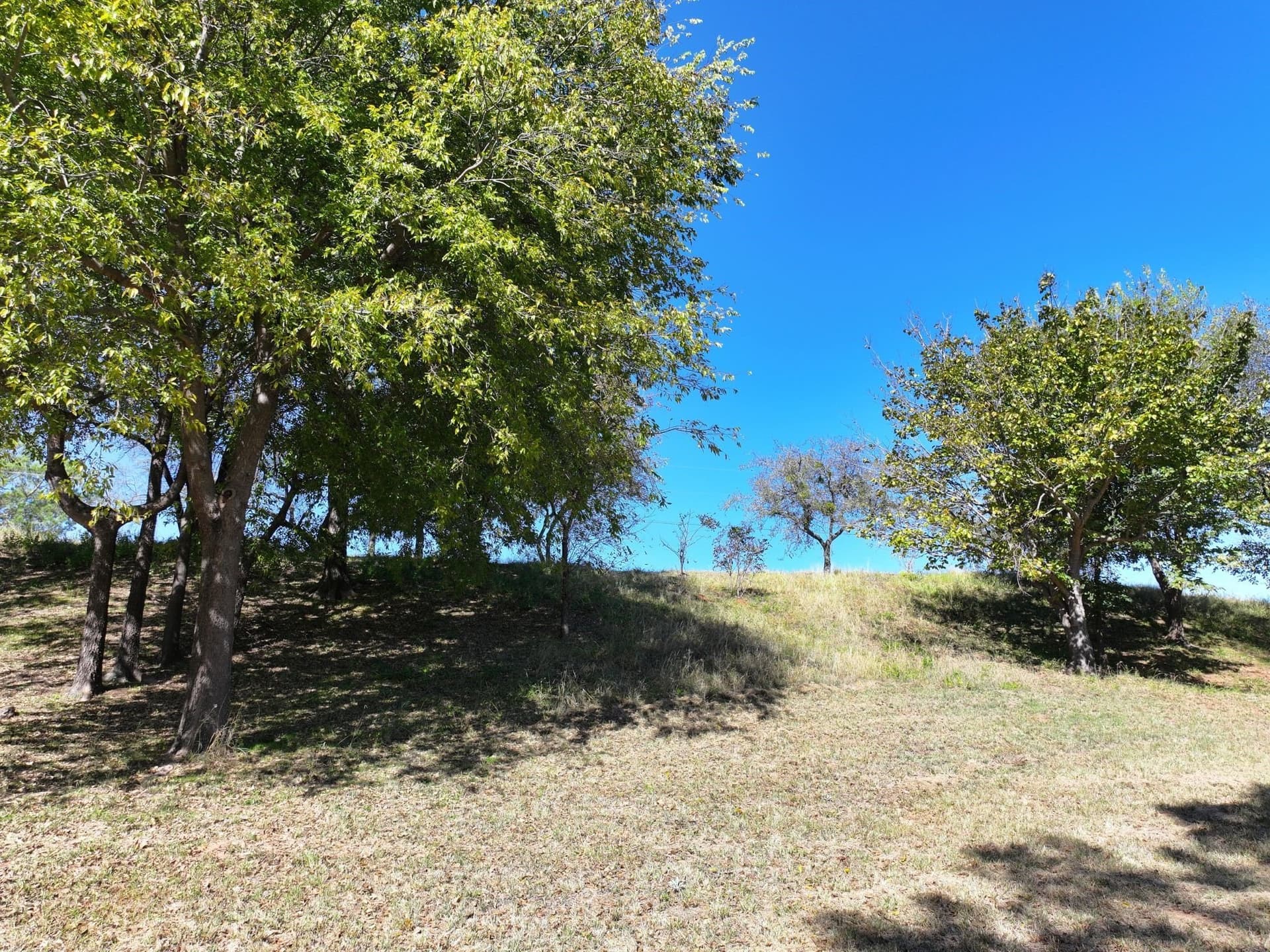 8.2 acres in Somervell County - photo 27