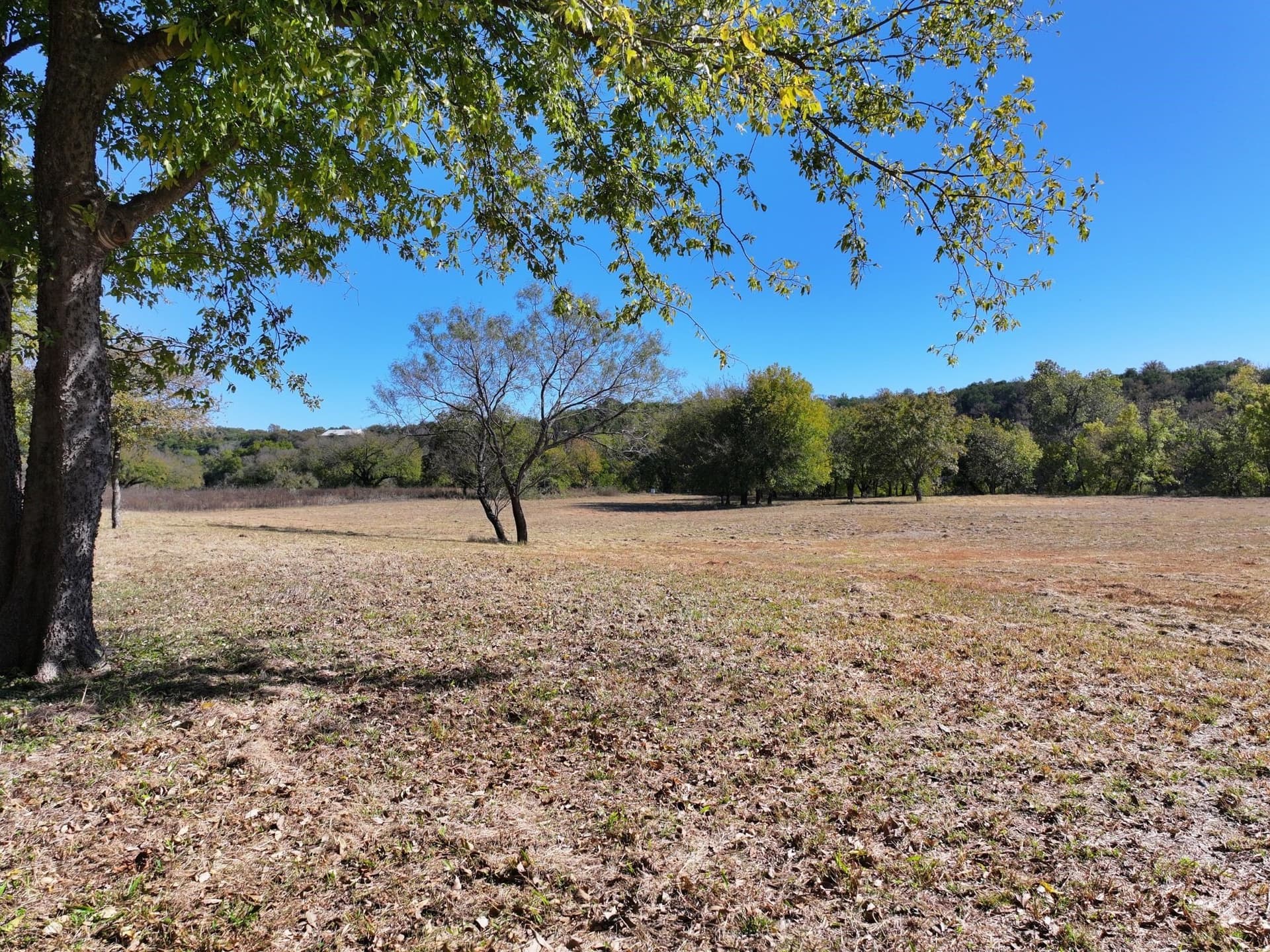 8.2 acres in Somervell County - photo 23