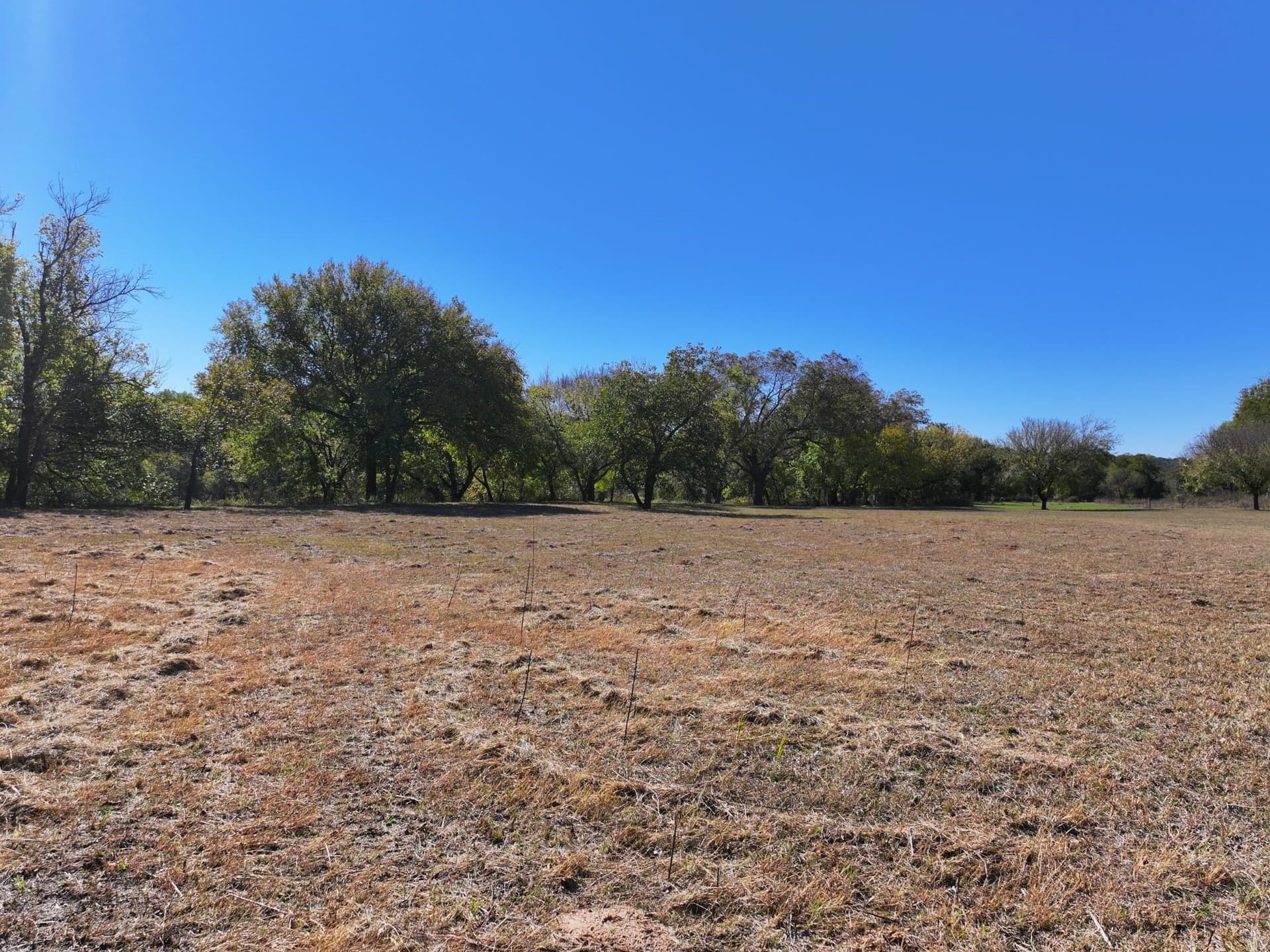 8.2 acres in Somervell County - photo 22