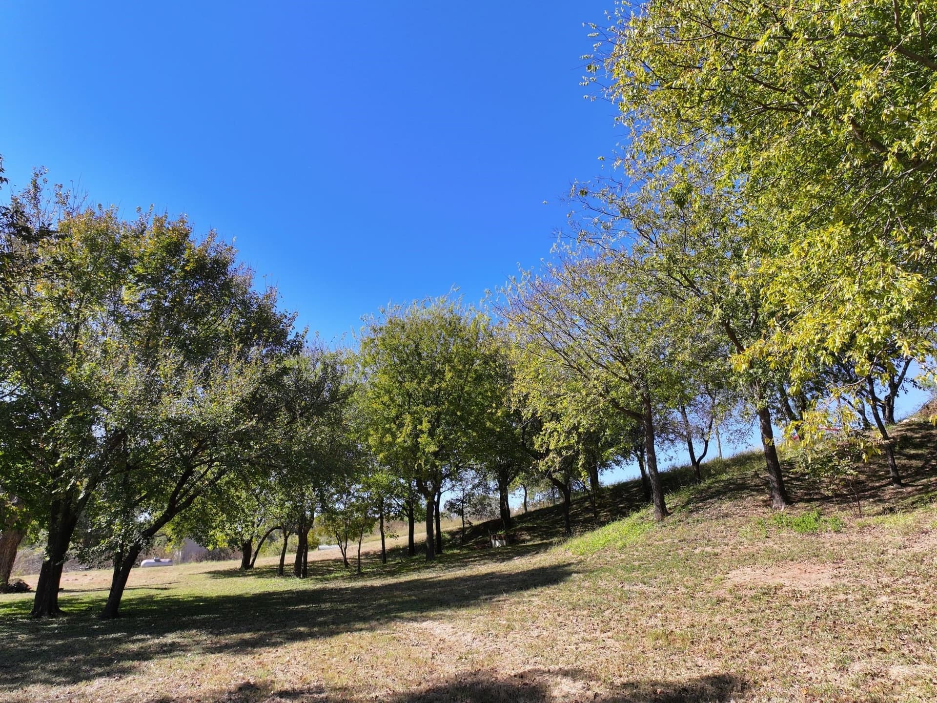 8.2 acres in Somervell County - photo 24