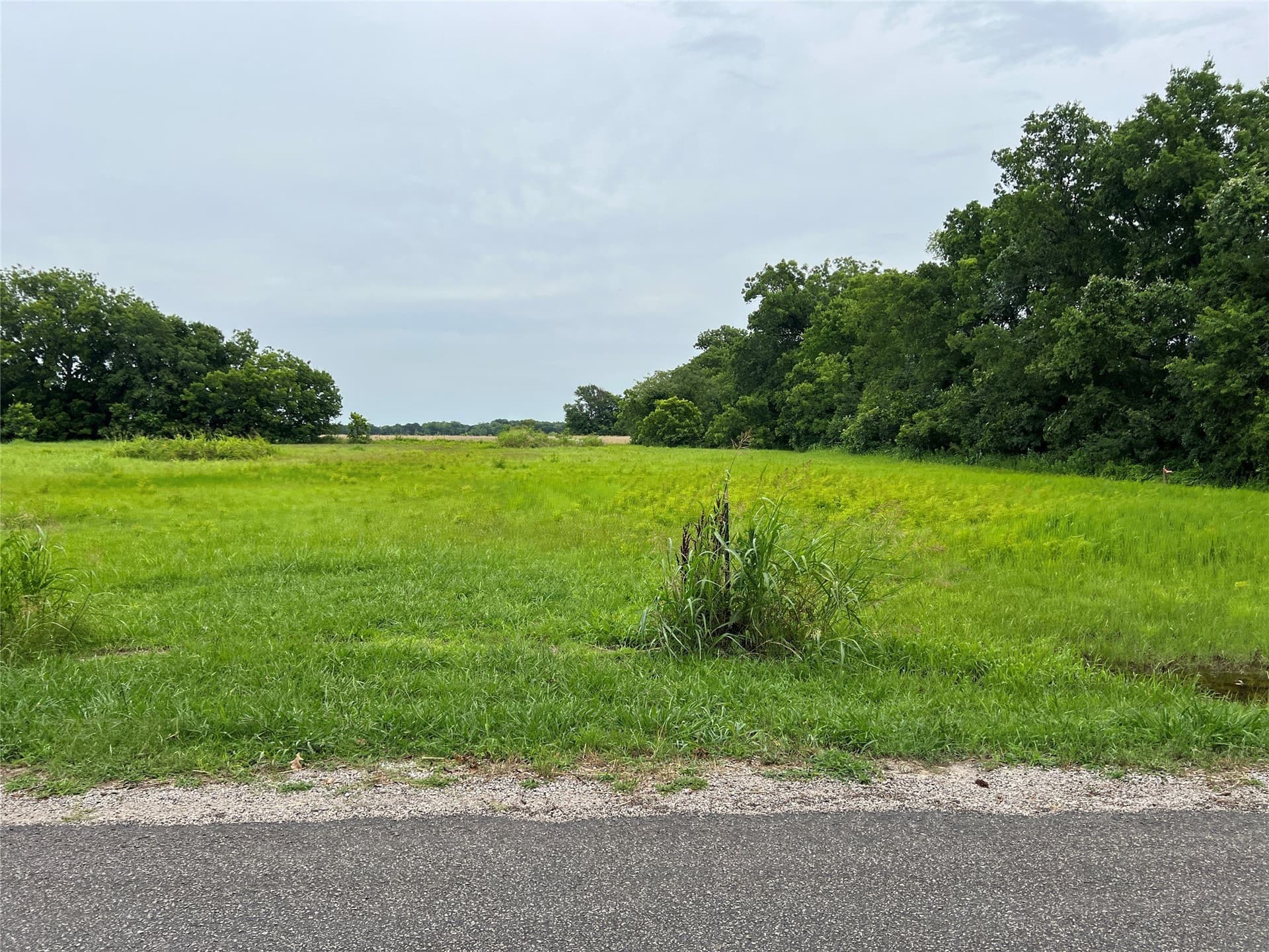 1 acres in Collin County gallery image 3