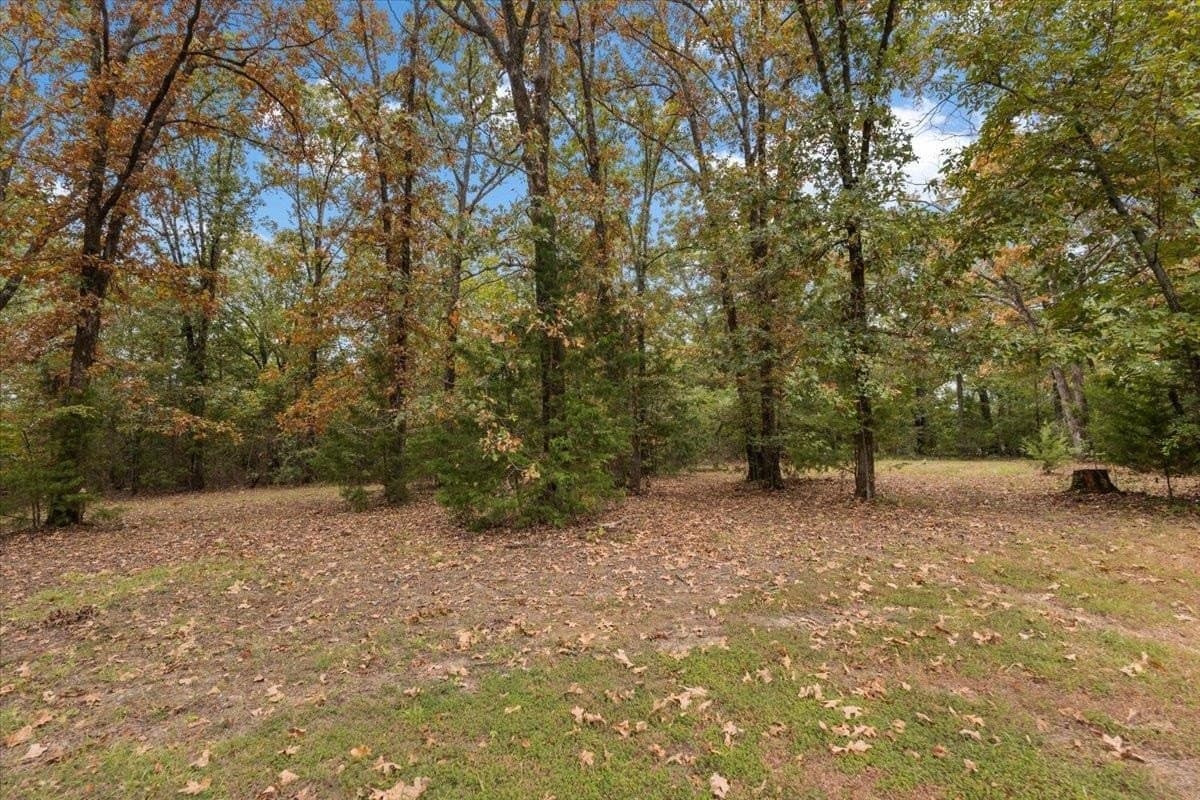 12.49 acres in Morris County - photo 33