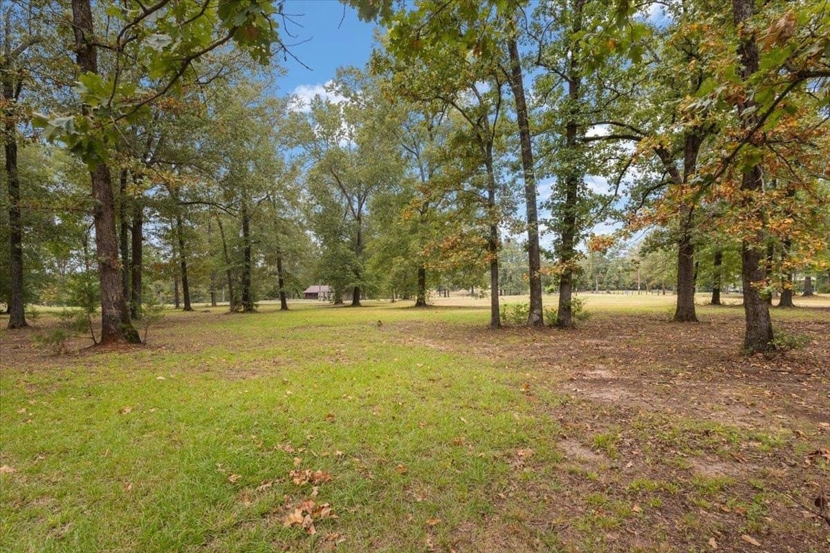 12.49 acres in Morris County - photo 37