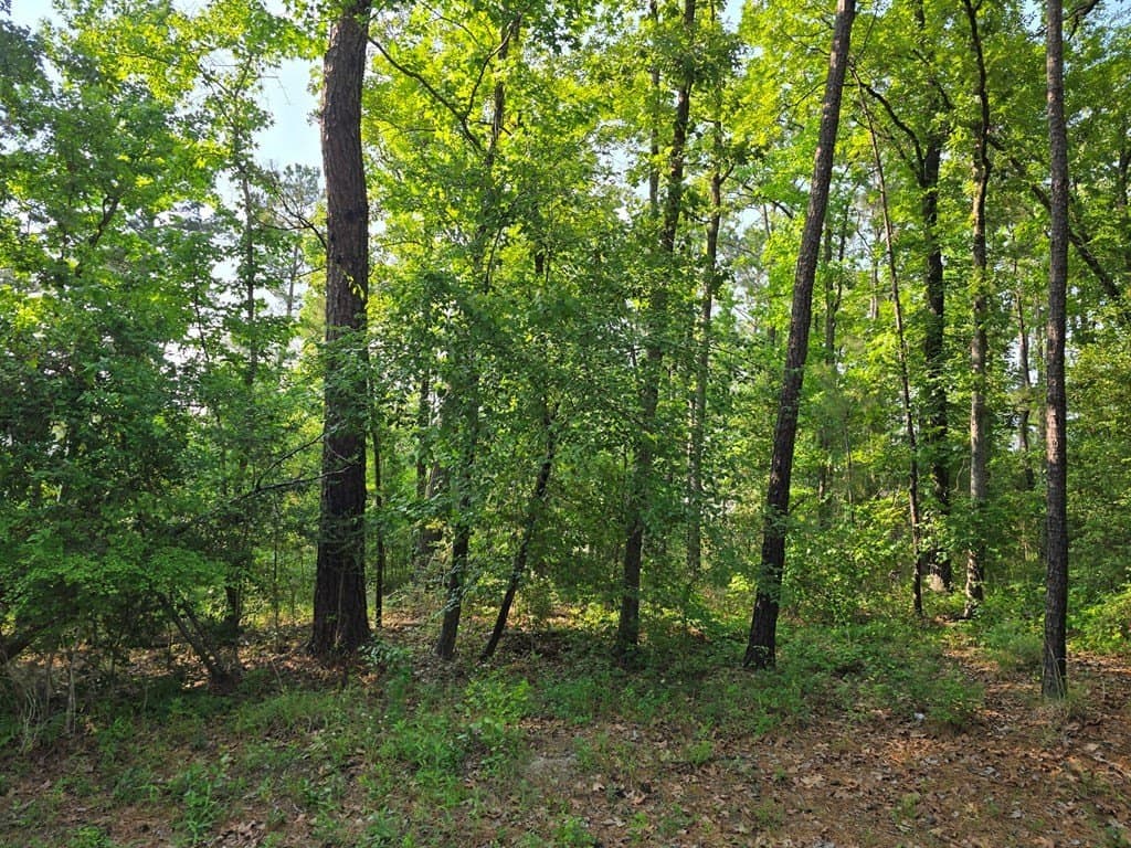 0.18 acres in Texas County - photo 13