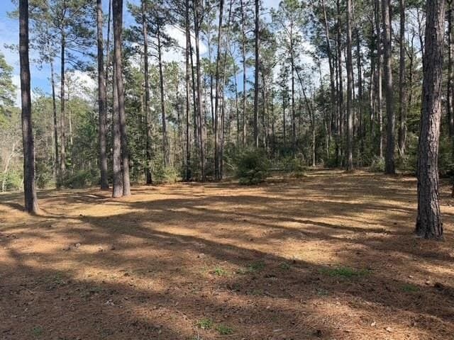 2.1 acres in Texas County gallery image 2