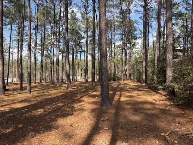 2.1 acres in Texas County