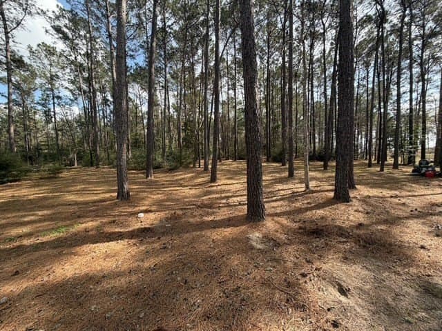 2.1 acres in Texas County gallery image 3