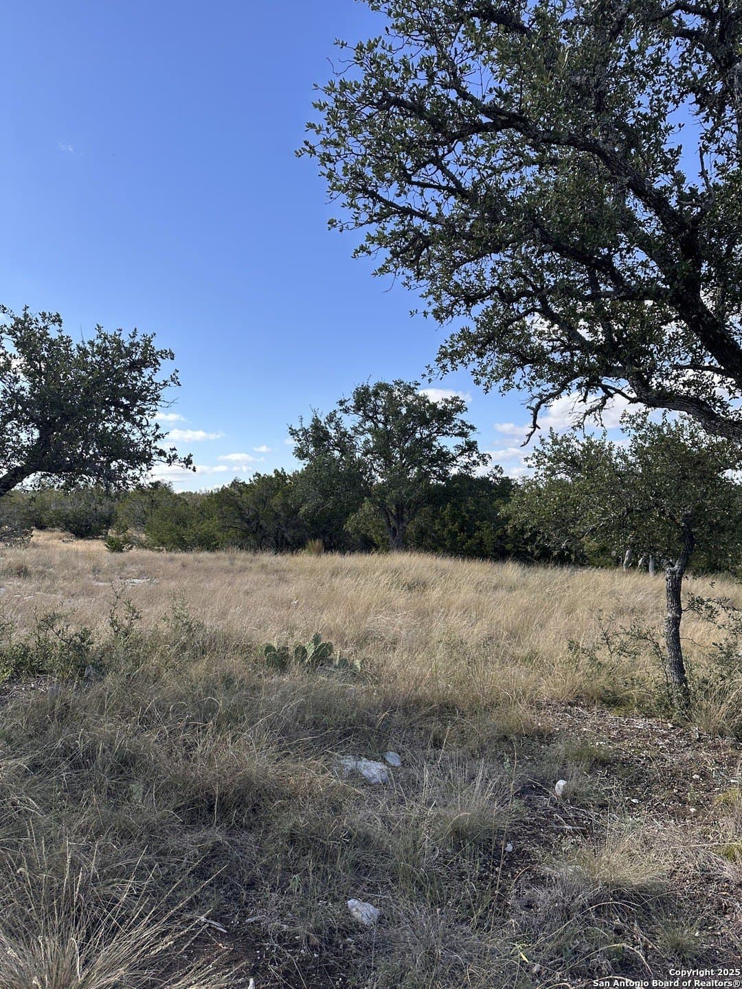 10.04 acres in Kimble County - photo 15