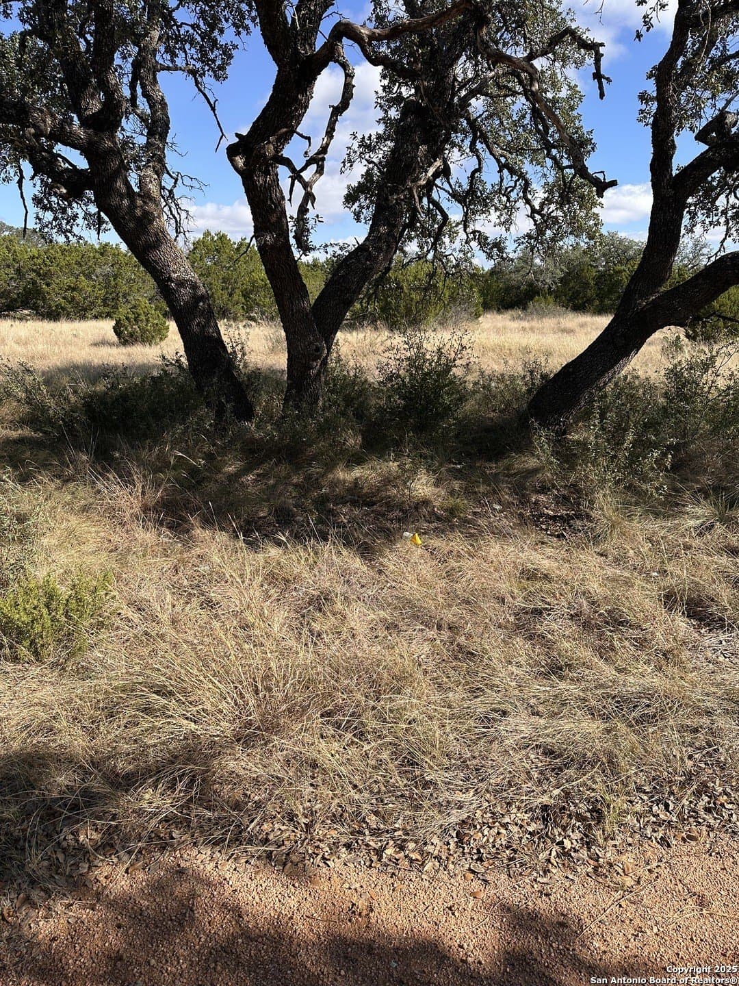 10.04 acres in Kimble County - photo 13
