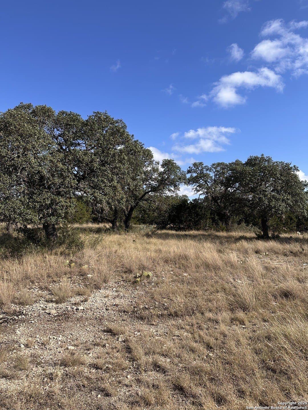 10.04 acres in Kimble County - photo 14