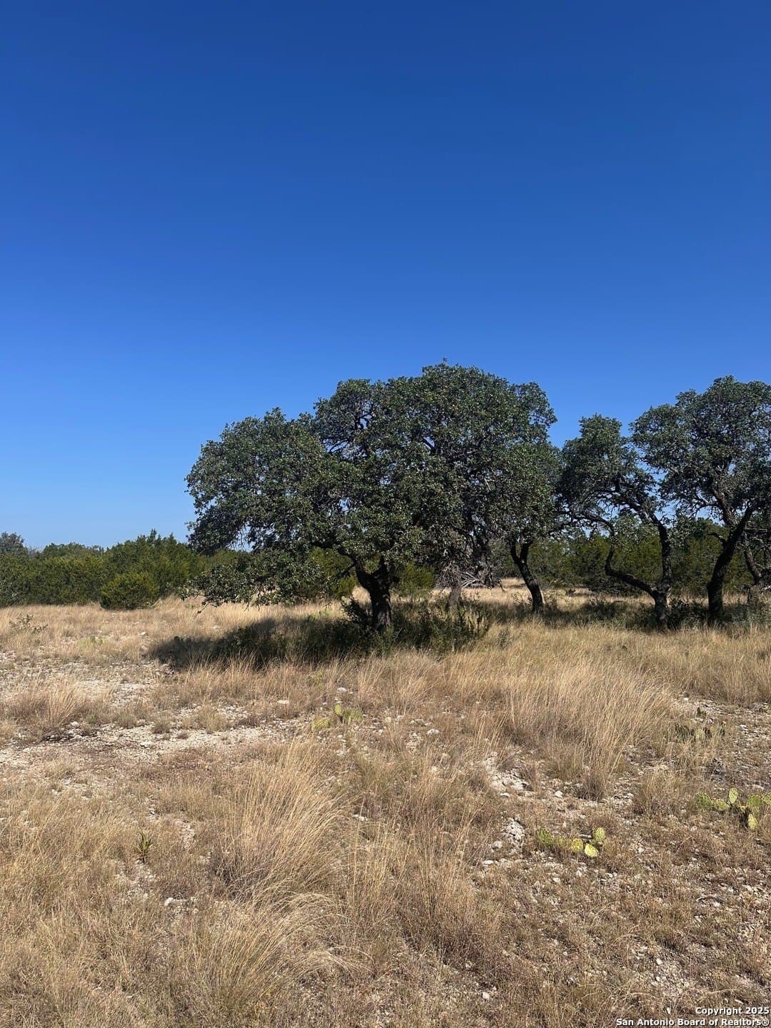 10.04 acres in Kimble County - photo 12