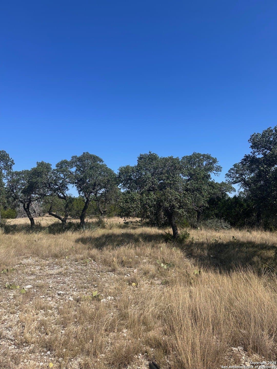 10.04 acres in Kimble County - photo 11
