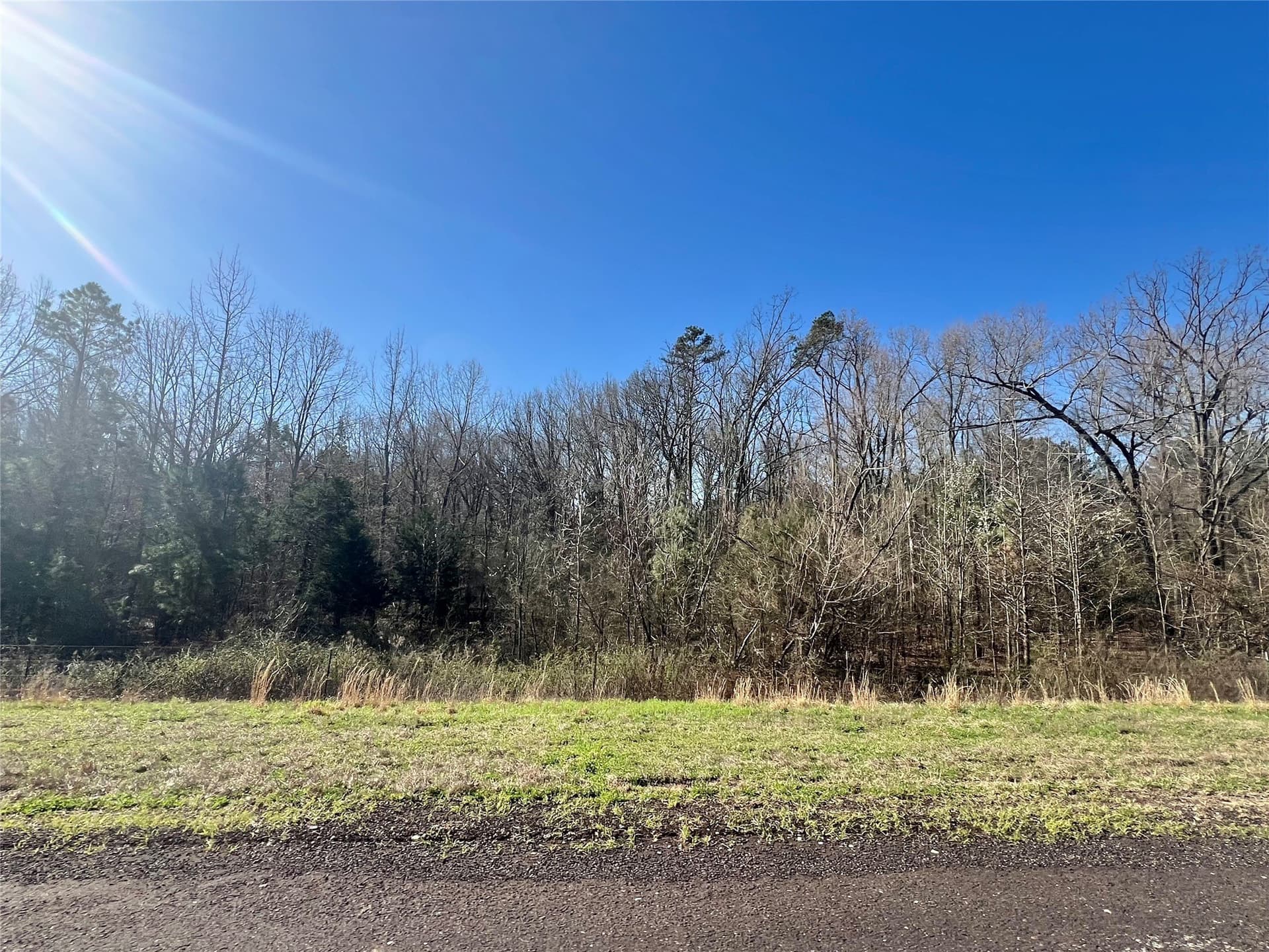 40 acres in Titus County gallery image 3