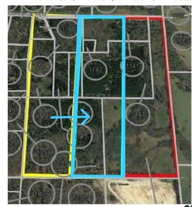 40 acres in Titus County gallery image 4