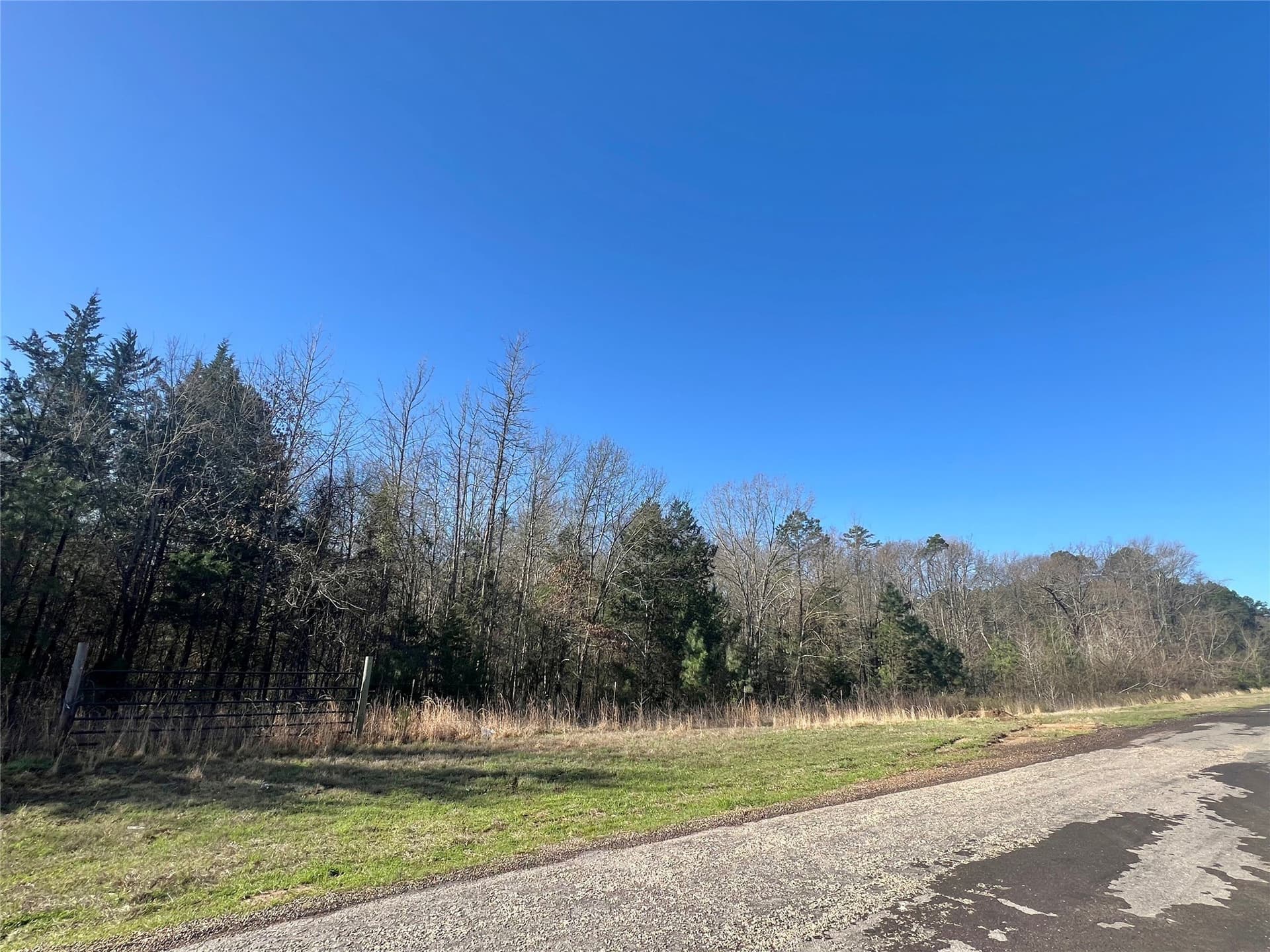 40 acres in Titus County gallery image 2