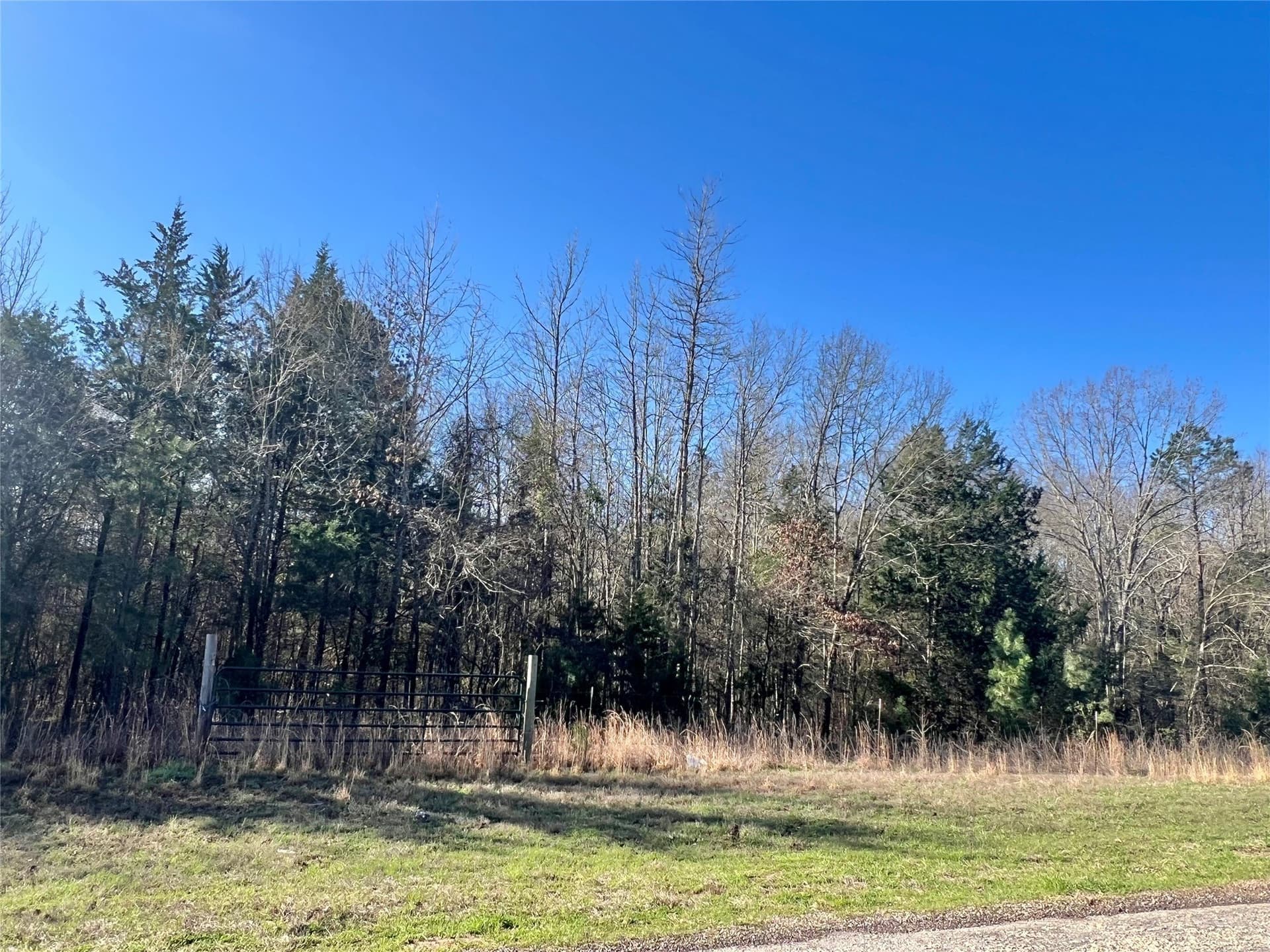 40 acres in Titus County
