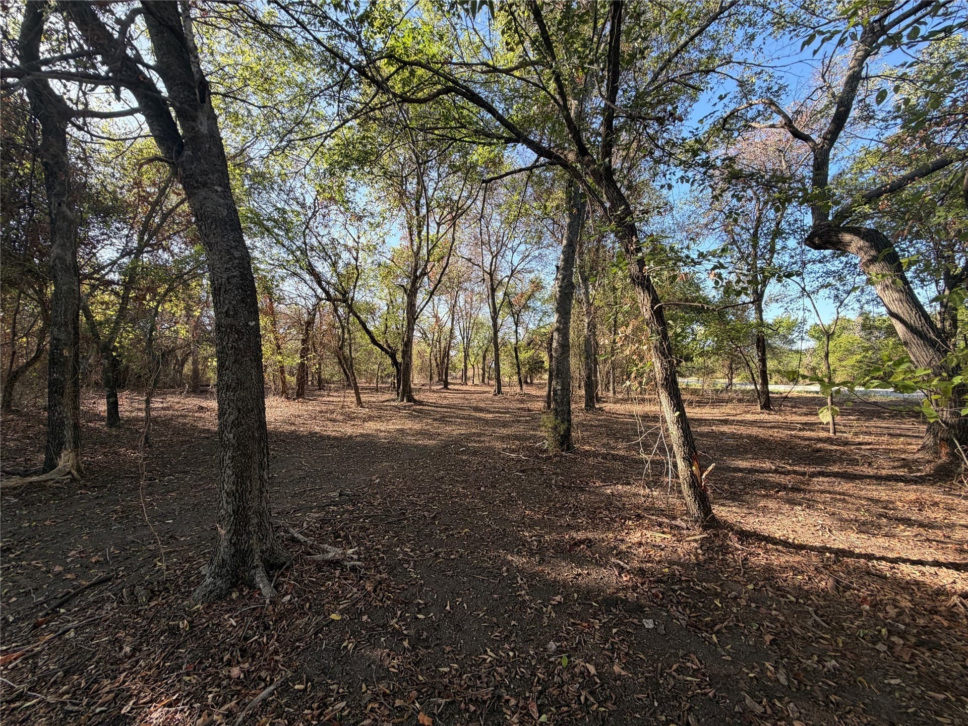 2.85 acres in Parker County - photo 4