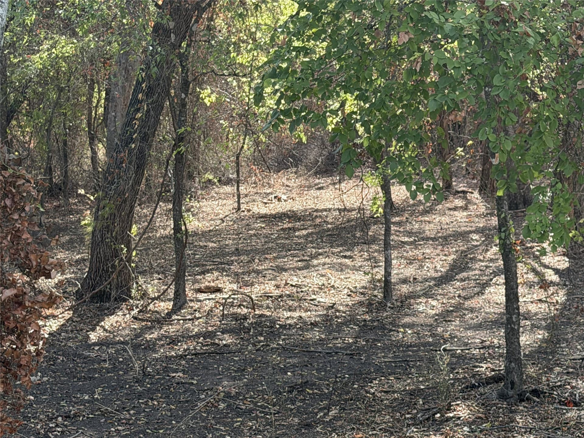 2.85 acres in Parker County - photo 14