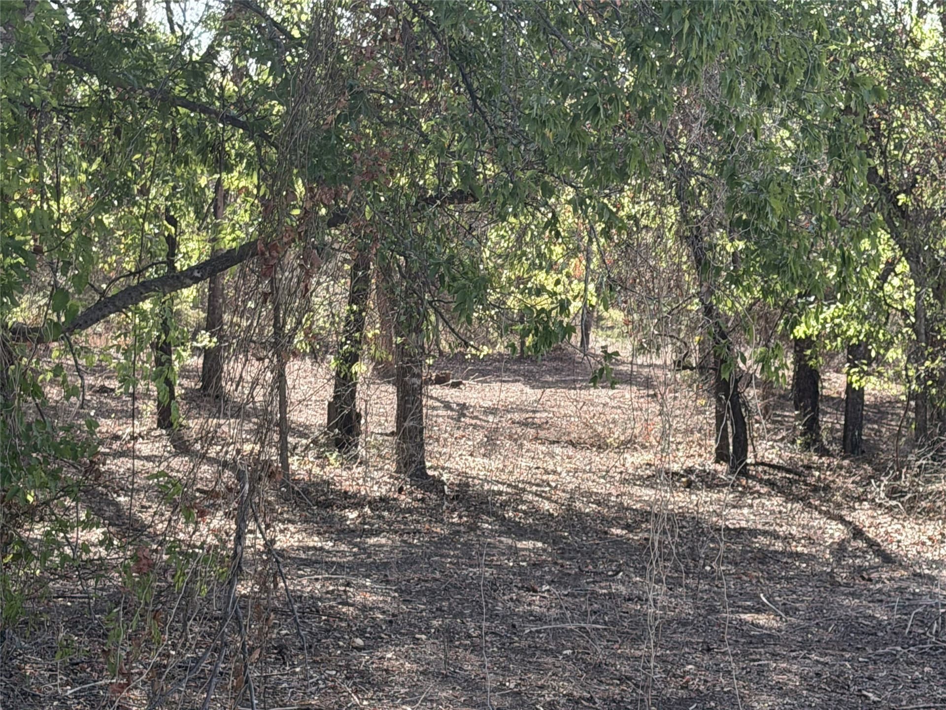 2.85 acres in Parker County - photo 13