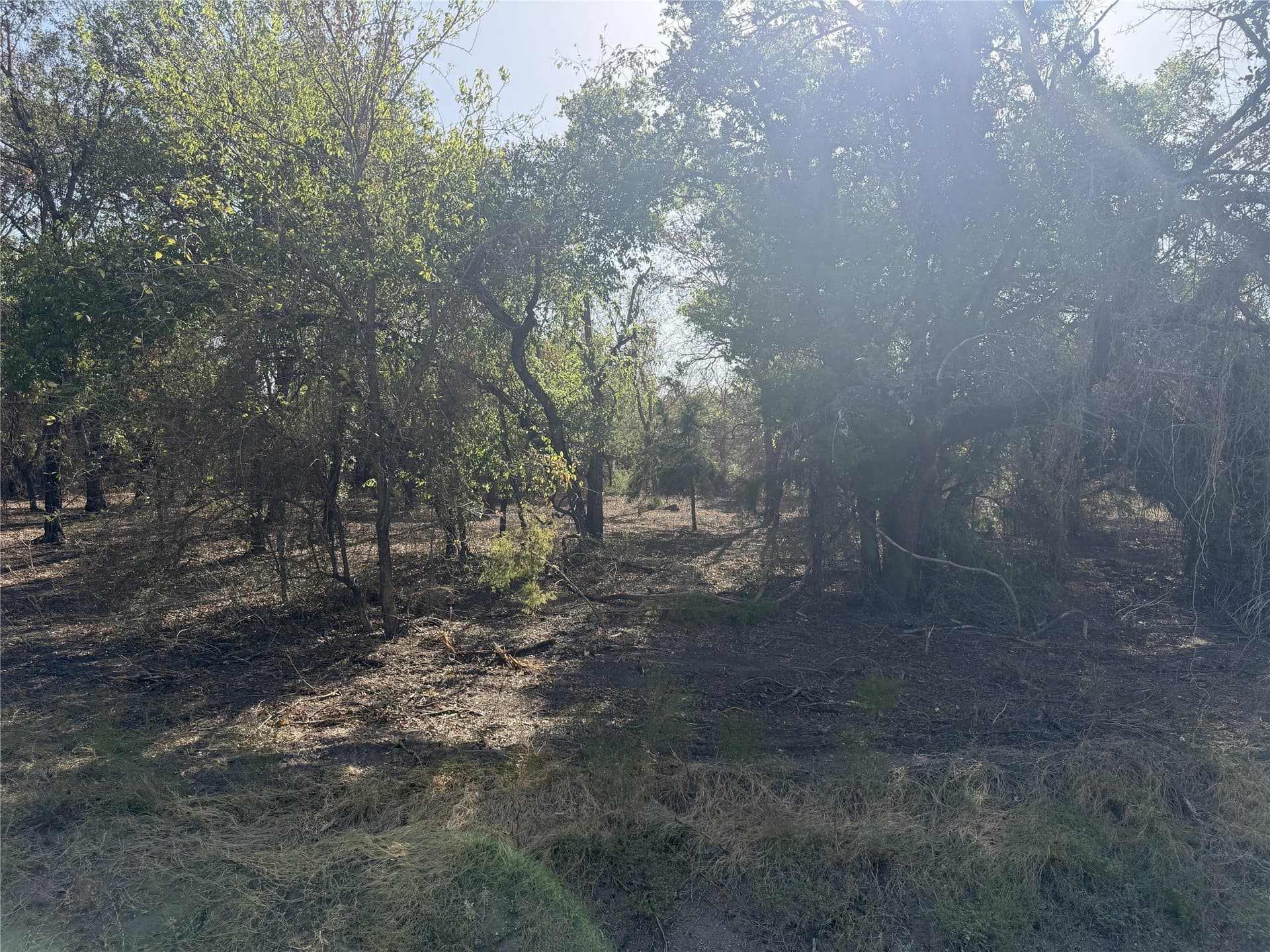 2.85 acres in Parker County - photo 9