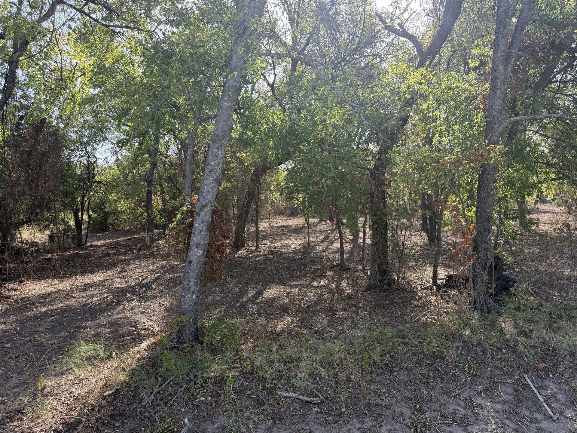 2.85 acres in Parker County - photo 11