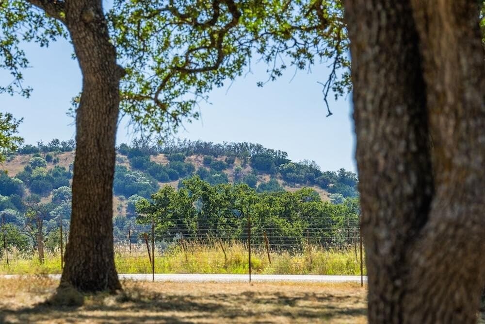 19.5 acres in Gillespie County - photo 17