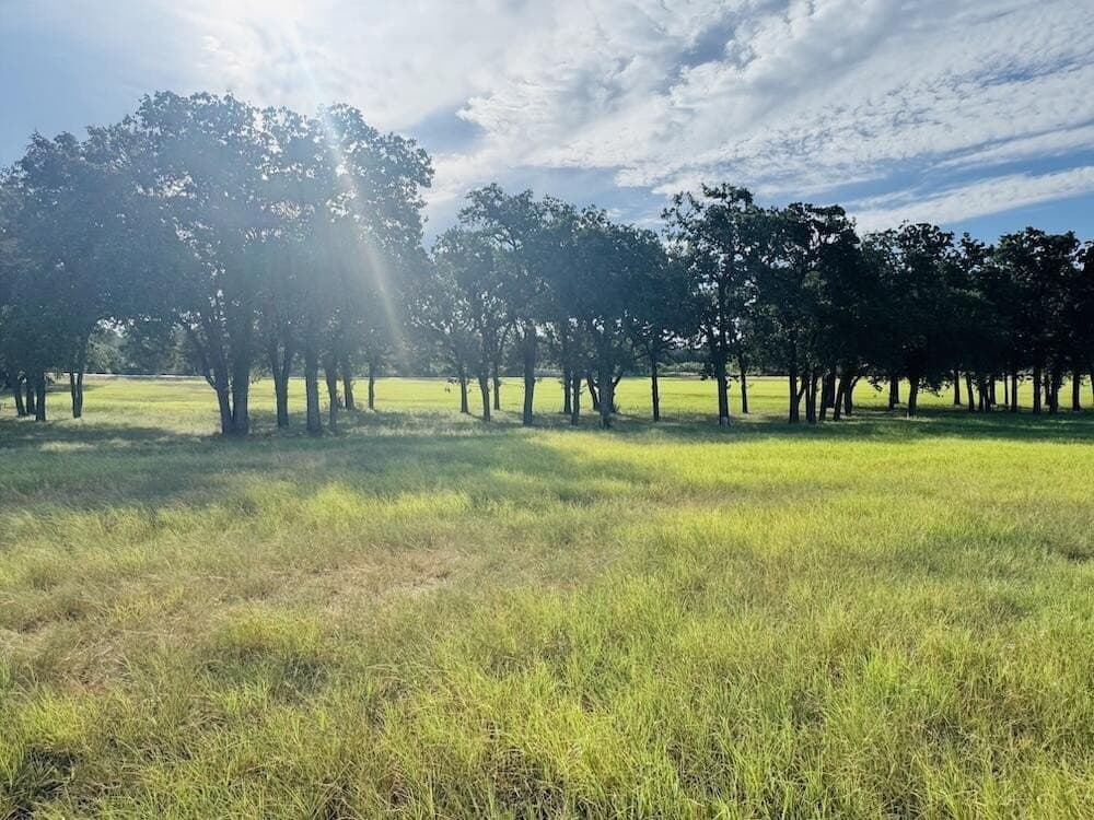 19.5 acres in Gillespie County