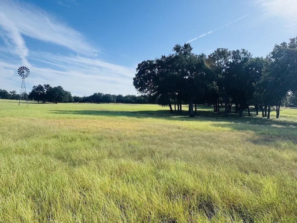 19.5 acres in Gillespie County - photo 2