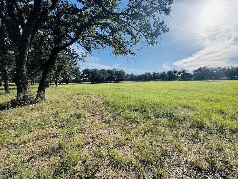 19.5 acres in Gillespie County - photo 7