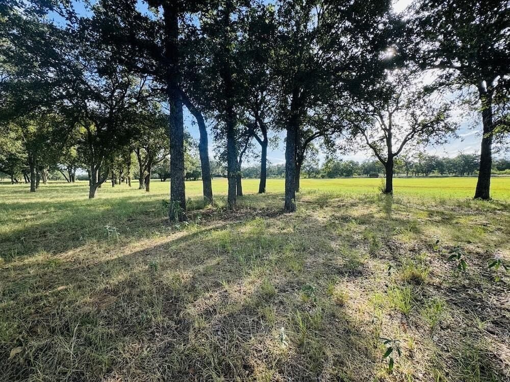19.5 acres in Gillespie County - photo 8