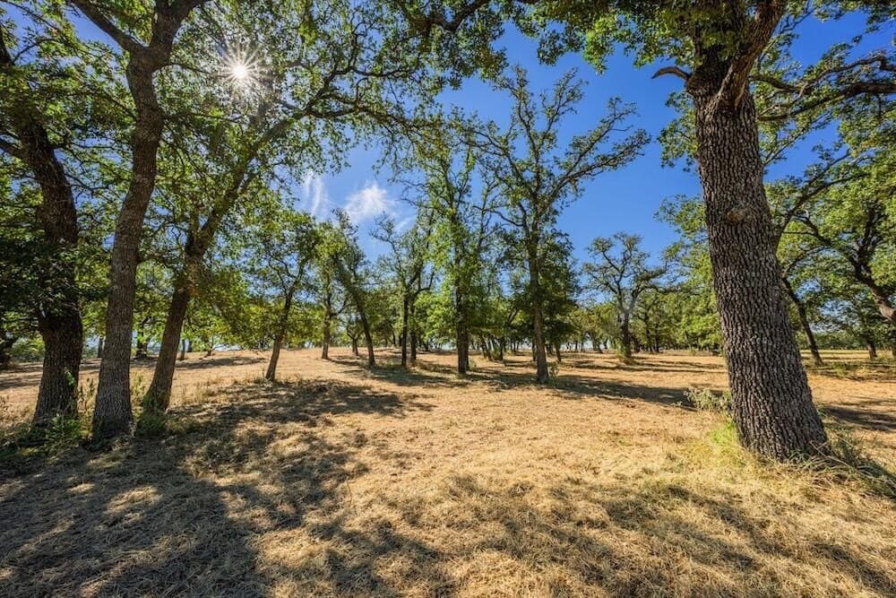 19.5 acres in Gillespie County - photo 20