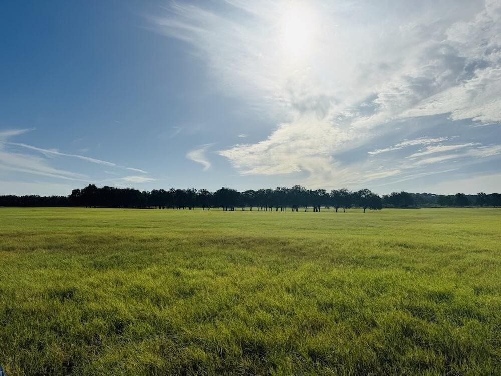 19.5 acres in Gillespie County - photo 9