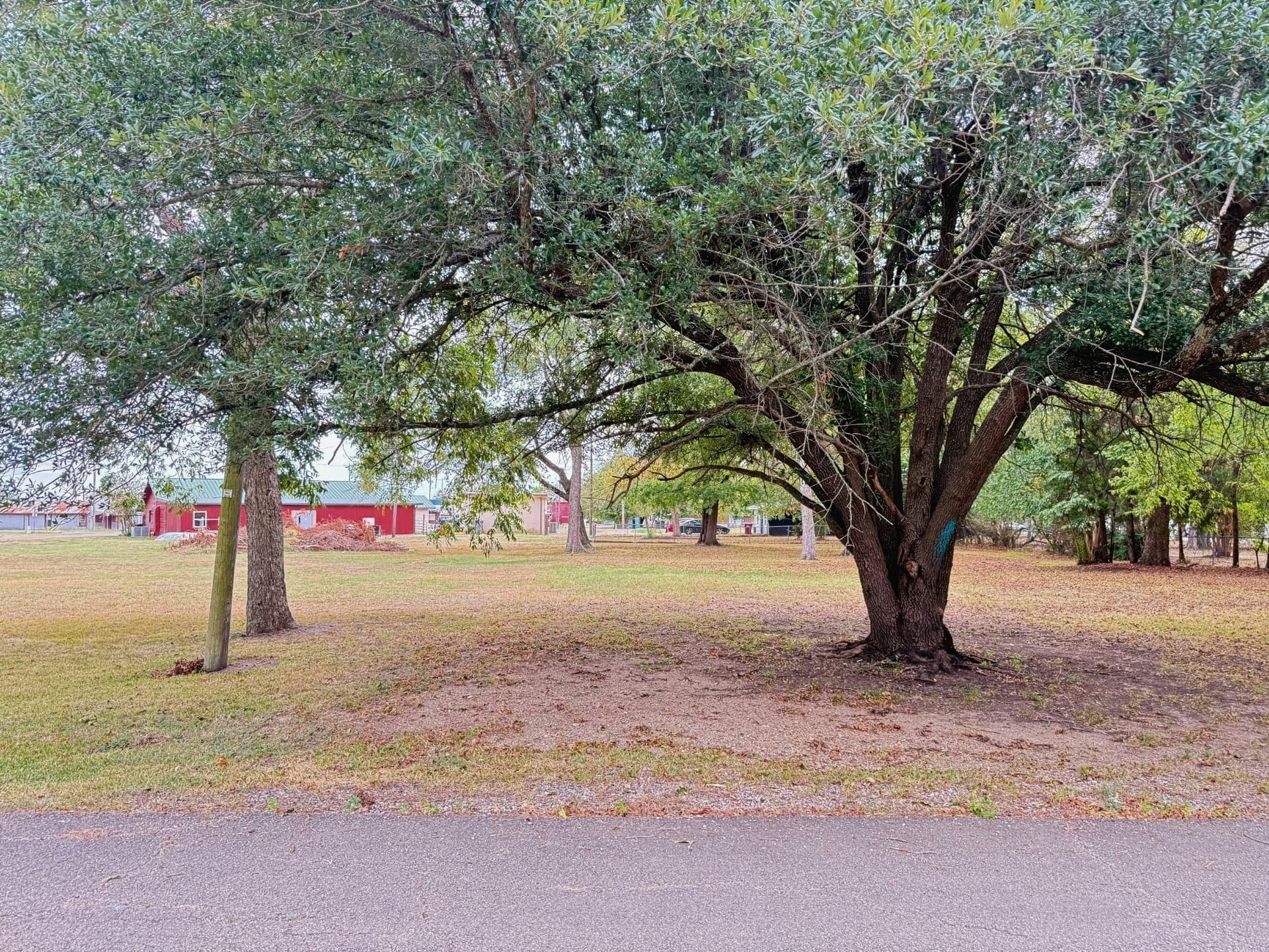0.24 acres in Delta County - photo 4