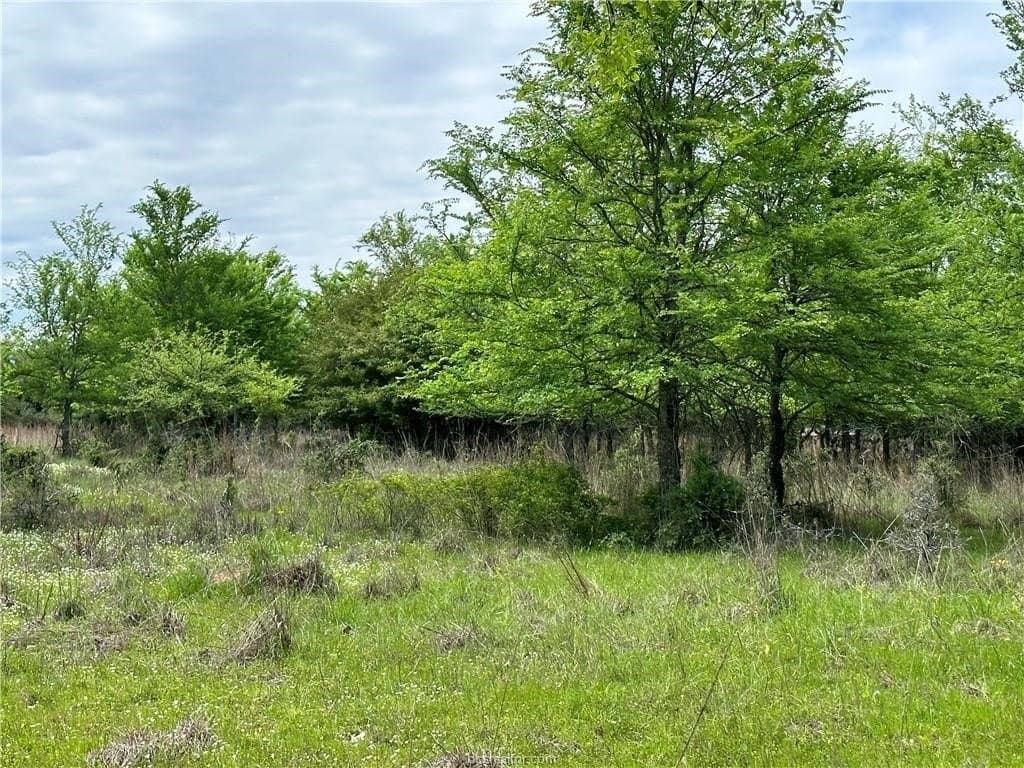 2 acres in Robertson County - photo 7